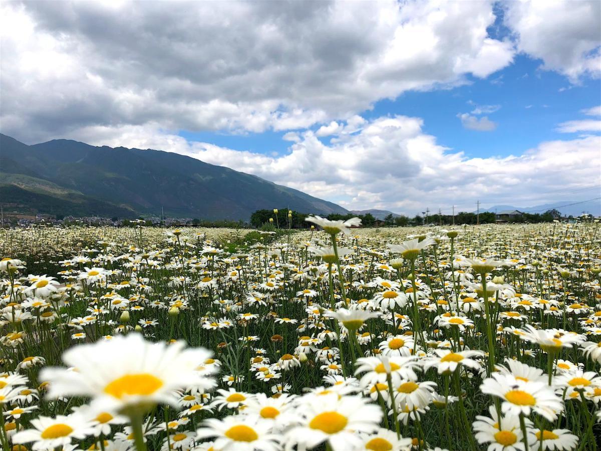 Dali Sky Valley Heritage Boutique Hotel Luaran gambar